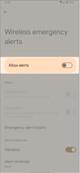 Toggle off Allow alerts to disable all government alerts